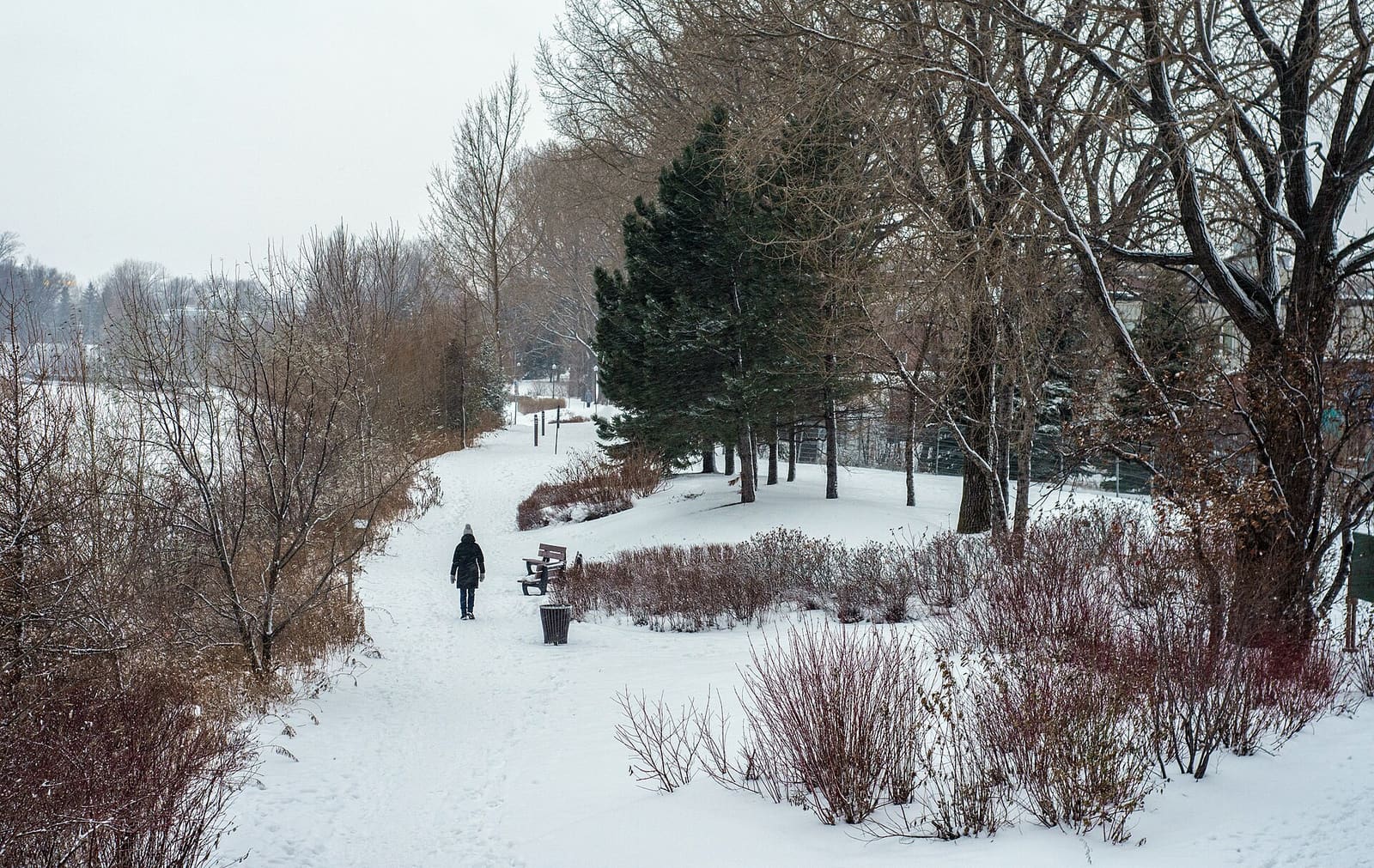Une rue du Vieux-Québec sous la neige